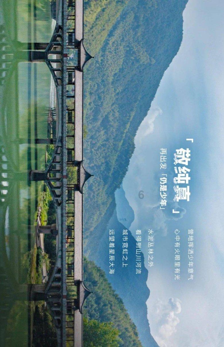 忍者鲨鱼