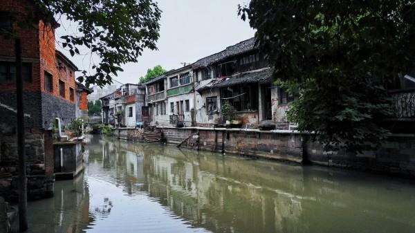 女童送医后死亡其父被刑拘，同案女嫌犯鉴定为案发时无精神病状态