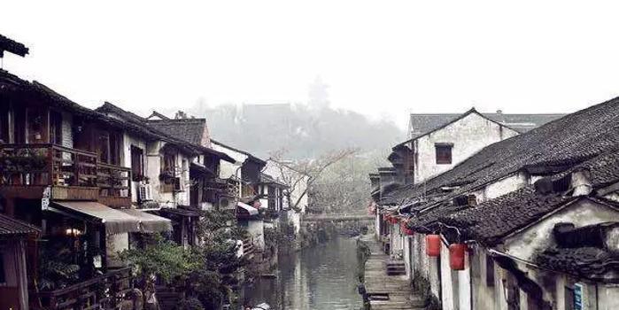 丛林森林逃生